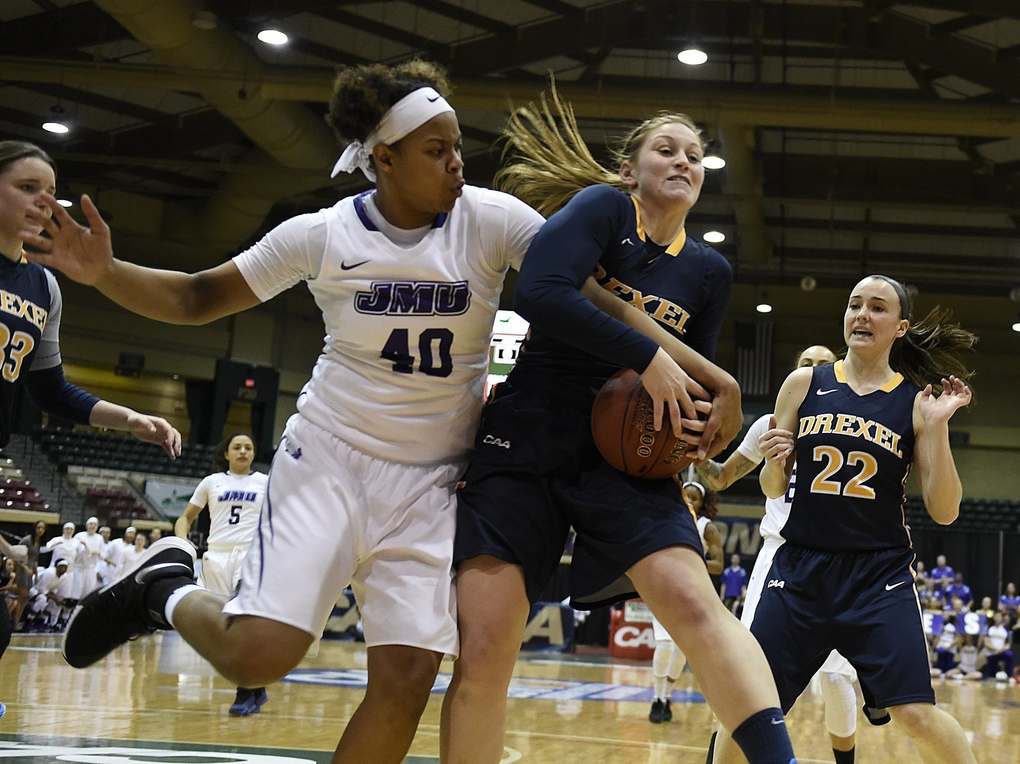 Un rétro pour le james madison basketball coaching staff Rose - ja35.fr